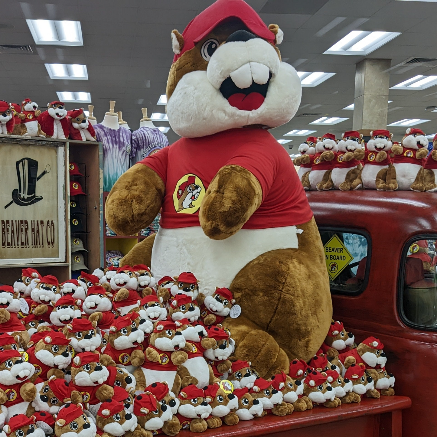 Ginormous Buc-ee - 60" Tall